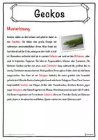 Vorschau - Unterrichtsreihen - Geckos Lückentext mit Wortspeicher Hörverstehen und Suchsel - Seite 2