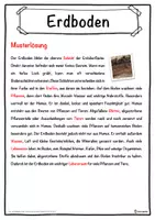 Vorschau - Unterrichtsreihen - Erdboden Lückentext mit Wortspeicher Hörverstehen und Suchsel - Seite 2