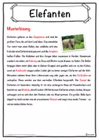 Vorschau - Unterrichtsreihen - Elefanten Lückentext mit Wortspeicher Hörverstehen und Suchsel - Seite 2