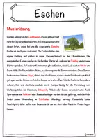 Vorschau - Unterrichtsreihen - Eschen Lückentext mit Wortspeicher Hörverstehen und Suchsel - Seite 2