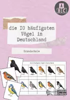 Vorschau - Arbeitsblätter - heimische Vögel in Deutschland - Deckblatt