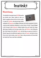 Vorschau - Unterrichtsreihen - Instinkt Lückentext mit Wortspeicher Hörverstehen und Suchsel - Seite 2