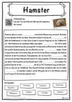 Vorschau - Unterrichtsreihen - Hamster Lückentext mit Wortspeicher Hörverstehen und Suchsel - Seite 1