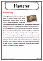 Vorschau - Unterrichtsreihen - Hamster Lückentext mit Wortspeicher Hörverstehen und Suchsel - Seite 2