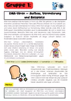 Vorschau - Stationenlernen - Virentypen Gruppenarbeit: DNA-Viren, RNA-Viren & Retroviren - Seite 1