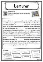 Vorschau - Unterrichtsreihen - Lemuren Lückentext mit Wortspeicher Hörverstehen und Suchsel - Seite 1