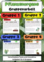 Vorschau - Arbeitsblätter - Pflanzenorgane Gruppenarbeit: Wurzel, Stängel & Blatt Blüte - Deckblatt