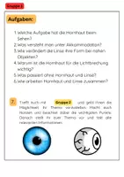 Vorschau - Arbeitsblätter - Das Auge Gruppenarbeit: Hornhaut, Linse & Netzhaut - Seite 2