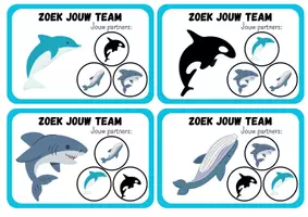 Voorbeeld - Zoek jouw team (groepjes van 4) - Pagina 3