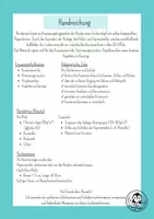 Vorschau - Unterrichtsreihen - Das große Papierlocken-Paket - Alle 5 Kunstprojekte zum basteln - Kunst ohne Vorbereitung Grundschule Klasse 1-4 - Seite 2