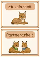 Vorschau - Poster - Klassentier Luchs Sozialformen Tafelmaterial - Deckblatt