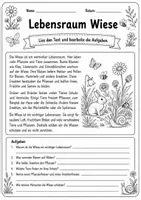 Vorschau - Arbeitsblätter - Materialpaket Lebensraum Wiese - Sachunterricht - Seite 2