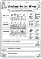 Vorschau - Arbeitsblätter - Materialpaket Lebensraum Wiese - Sachunterricht - Seite 3