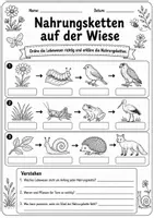 Vorschau - Arbeitsblätter - Lebensraum Wiese: Arbeitsblätter Klasse 3/4 - Seite 3