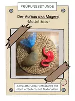 Vorschau - Arbeitsblätter - Aufbau des Magens (Prüfungsstunde) - Deckblatt
