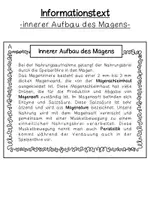 Vorschau - Arbeitsblätter - Aufbau des Magens (Prüfungsstunde) - Seite 1