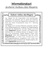 Vorschau - Arbeitsblätter - Aufbau des Magens (Prüfungsstunde) - Seite 2