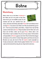 Vorschau - Unterrichtsreihen - Bohne Lückentext mit Wortspeicher Hörverstehen und Suchsel - Seite 2