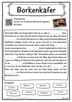 Vorschau - Unterrichtsreihen - Borkenkäfer Lückentext mit Wortspeicher Hörverstehen und Suchsel - Seite 1