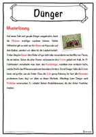Vorschau - Unterrichtsreihen - Dünger Lückentext mit Wortspeicher Hörverstehen und Suchsel - Seite 2