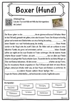 Vorschau - Unterrichtsreihen - Boxer (Hund) Lückentext mit Wortspeicher Hörverstehen und Suchsel - Seite 1