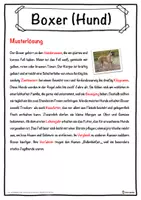 Vorschau - Unterrichtsreihen - Boxer (Hund) Lückentext mit Wortspeicher Hörverstehen und Suchsel - Seite 2