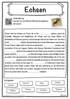 Vorschau - Unterrichtsreihen - Echsen Lückentext mit Wortspeicher Hörverstehen und Suchsel - Seite 1