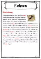 Vorschau - Unterrichtsreihen - Echsen Lückentext mit Wortspeicher Hörverstehen und Suchsel - Seite 2