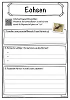 Vorschau - Unterrichtsreihen - Echsen Lückentext mit Wortspeicher Hörverstehen und Suchsel - Seite 3