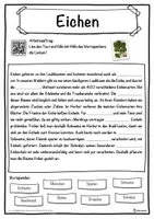 Vorschau - Unterrichtsreihen - Eichen Lückentext mit Wortspeicher Hörverstehen und Suchsel - Seite 1