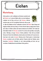 Vorschau - Unterrichtsreihen - Eichen Lückentext mit Wortspeicher Hörverstehen und Suchsel - Seite 2