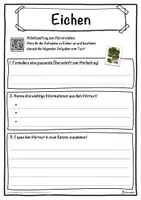 Vorschau - Unterrichtsreihen - Eichen Lückentext mit Wortspeicher Hörverstehen und Suchsel - Seite 3