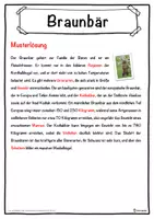 Vorschau - Unterrichtsreihen - Braunbär Lückentext mit Wortspeicher Hörverstehen und Suchsel - Seite 2