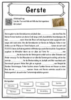 Vorschau - Unterrichtsreihen - Gerste Lückentext mit Wortspeicher Hörverstehen und Suchsel - Seite 1