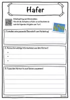 Vorschau - Unterrichtsreihen - Hafer Lückentext mit Wortspeicher Hörverstehen und Suchsel - Seite 3
