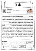 Vorschau - Unterrichtsreihen - Hals Lückentext mit Wortspeicher Hörverstehen und Suchsel - Seite 1