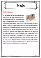 Vorschau - Unterrichtsreihen - Hals Lückentext mit Wortspeicher Hörverstehen und Suchsel - Seite 2