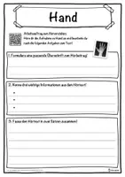 Vorschau - Unterrichtsreihen - Hand Lückentext mit Wortspeicher Hörverstehen und Suchsel - Seite 3