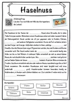 Vorschau - Unterrichtsreihen - Haselnuss Lückentext mit Wortspeicher Hörverstehen und Suchsel - Seite 1