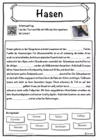 Vorschau - Unterrichtsreihen - Hasen Lückentext mit Wortspeicher Hörverstehen und Suchsel - Seite 1