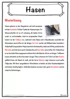 Vorschau - Unterrichtsreihen - Hasen Lückentext mit Wortspeicher Hörverstehen und Suchsel - Seite 2