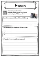 Vorschau - Unterrichtsreihen - Hasen Lückentext mit Wortspeicher Hörverstehen und Suchsel - Seite 3