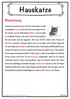 Vorschau - Unterrichtsreihen - Hauskatze Lückentext mit Wortspeicher Hörverstehen und Suchsel - Seite 2