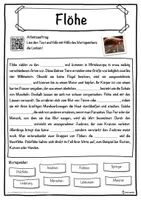 Vorschau - Unterrichtsreihen - Flöhe Lückentext mit Wortspeicher Hörverstehen und Suchsel - Seite 1