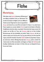 Vorschau - Unterrichtsreihen - Flöhe Lückentext mit Wortspeicher Hörverstehen und Suchsel - Seite 2