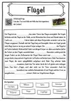 Vorschau - Unterrichtsreihen - Flügel Lückentext mit Wortspeicher Hörverstehen und Suchsel - Seite 1