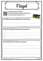Vorschau - Unterrichtsreihen - Flügel Lückentext mit Wortspeicher Hörverstehen und Suchsel - Seite 3