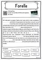 Vorschau - Unterrichtsreihen - Forelle Lückentext mit Wortspeicher Hörverstehen und Suchsel - Seite 1