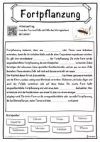 Vorschau - Unterrichtsreihen - Fortpflanzung Lückentext mit Wortspeicher Hörverstehen und Suchsel - Seite 1