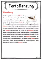 Vorschau - Unterrichtsreihen - Fortpflanzung Lückentext mit Wortspeicher Hörverstehen und Suchsel - Seite 2